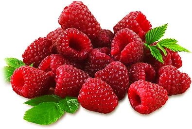raspberry at omgloh.com